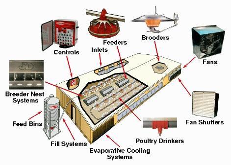 Equipo-básico-que-se-utiliza-en-una-granja-avícola