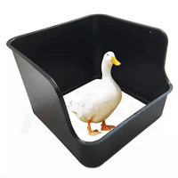 Nido de huevos de pato con fondo desmontable, nido de pato de plástico negro para aves de corral, caja nido para poner huevos de pato, Ph-167