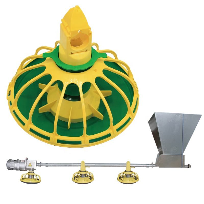  Sistema de alimentación automática de bandeja para pollos, línea de alimentación para pollos, sistema de bandeja alimentadora