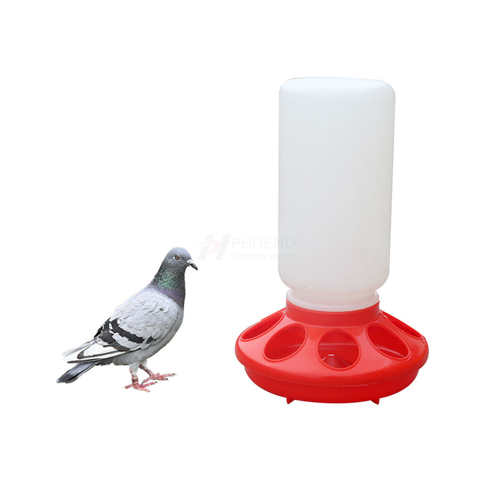 Cubo Comedero Para Pollos Bebedero Automático Para Pollos Y Aves De Corral Ph-49