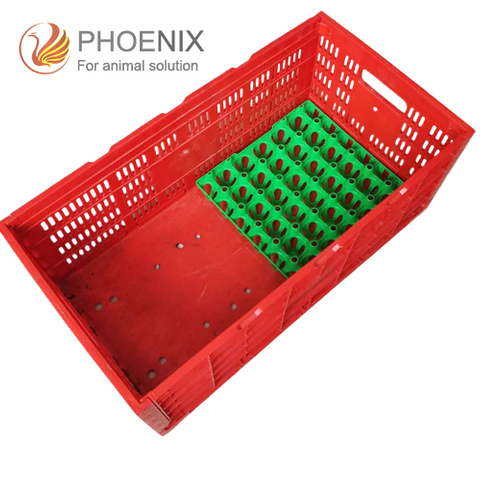 Jaulas de plástico plegables para huevos, cajas de transferencia de huevos para huevos de gallina, caja de paletas de plástico para transporte, Ph-150