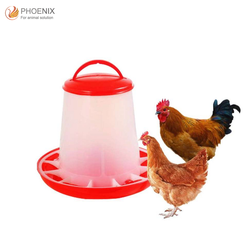 Cubo comedero para pollos, bebedero para pollos y aves de corral Ph-228-1