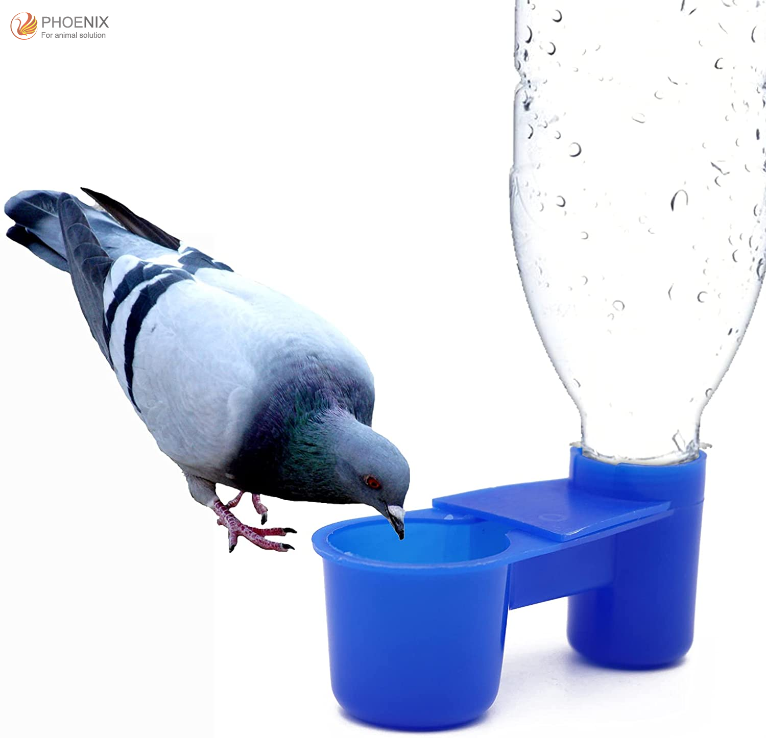 Animal plástico azul Color pájaro botella de agua mascota paloma codorniz alimentador de agua pájaro doble bebedor taza PH-54