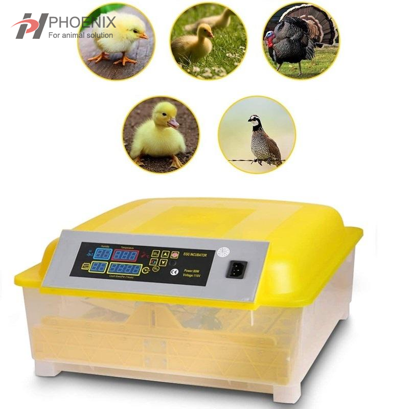 Mini incubadora de huevos Digital automática para aves de corral, incubadora de huevos para pollo, pato, ganso