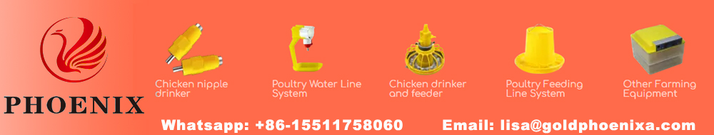 tazas de comedero para pollos