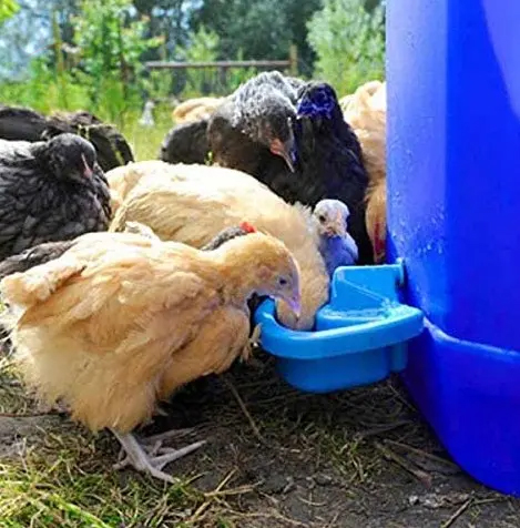 Bebedero automático para pollos de 0,5 l, taza para aves de corral, pollo, pato, ganso, pavo, conejo, mascota pequeña