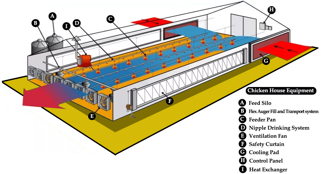 gallinero automático